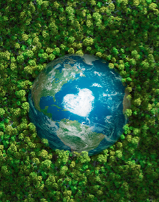 北海惠科光电显示有限公司温室气体排放核查报告（2024.4）