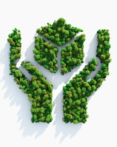 惠科股份2024年度ESG报告中文版