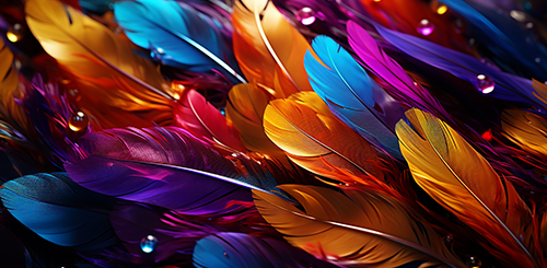 高画质显示技术